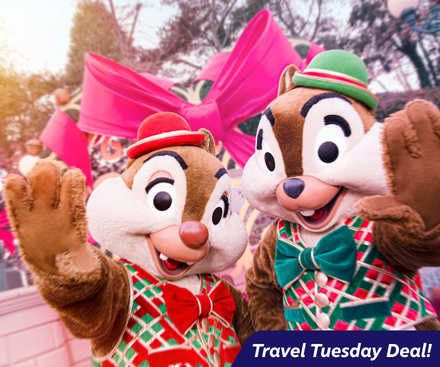 8th December 2026